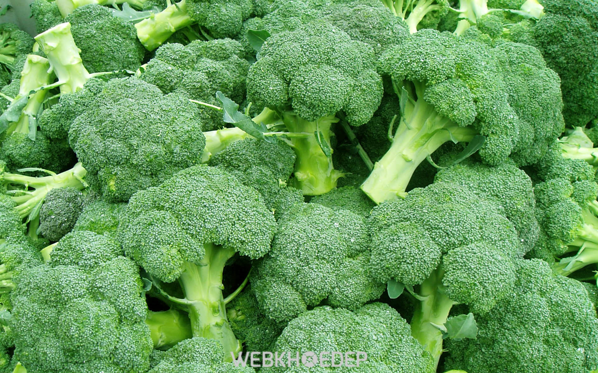 Bông cải xanh là loại rau rất tốt cho vòng 3