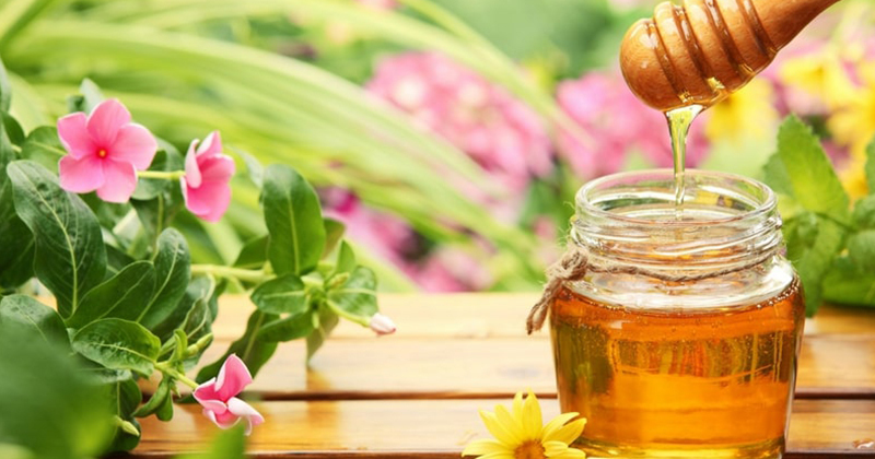 7 tác dụng của nhung hươu với trẻ em và hướng dẫn cách dùng tốt nhất
