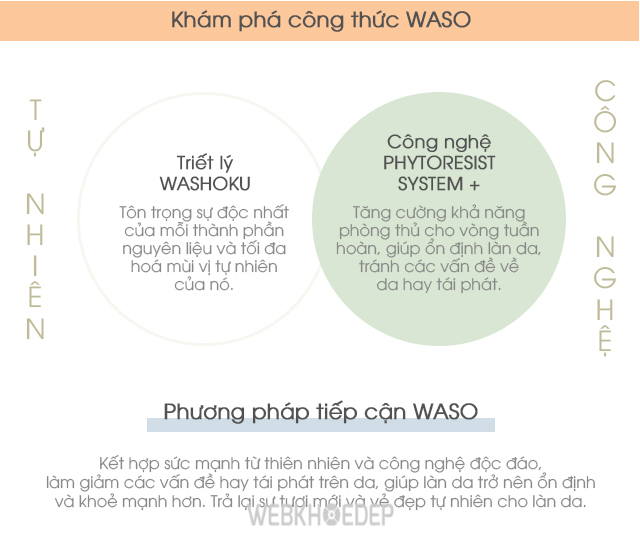 Đi sâu vào bí quyết dưỡng da của dòng sản phẩm WASO Shiseido - Hình 2