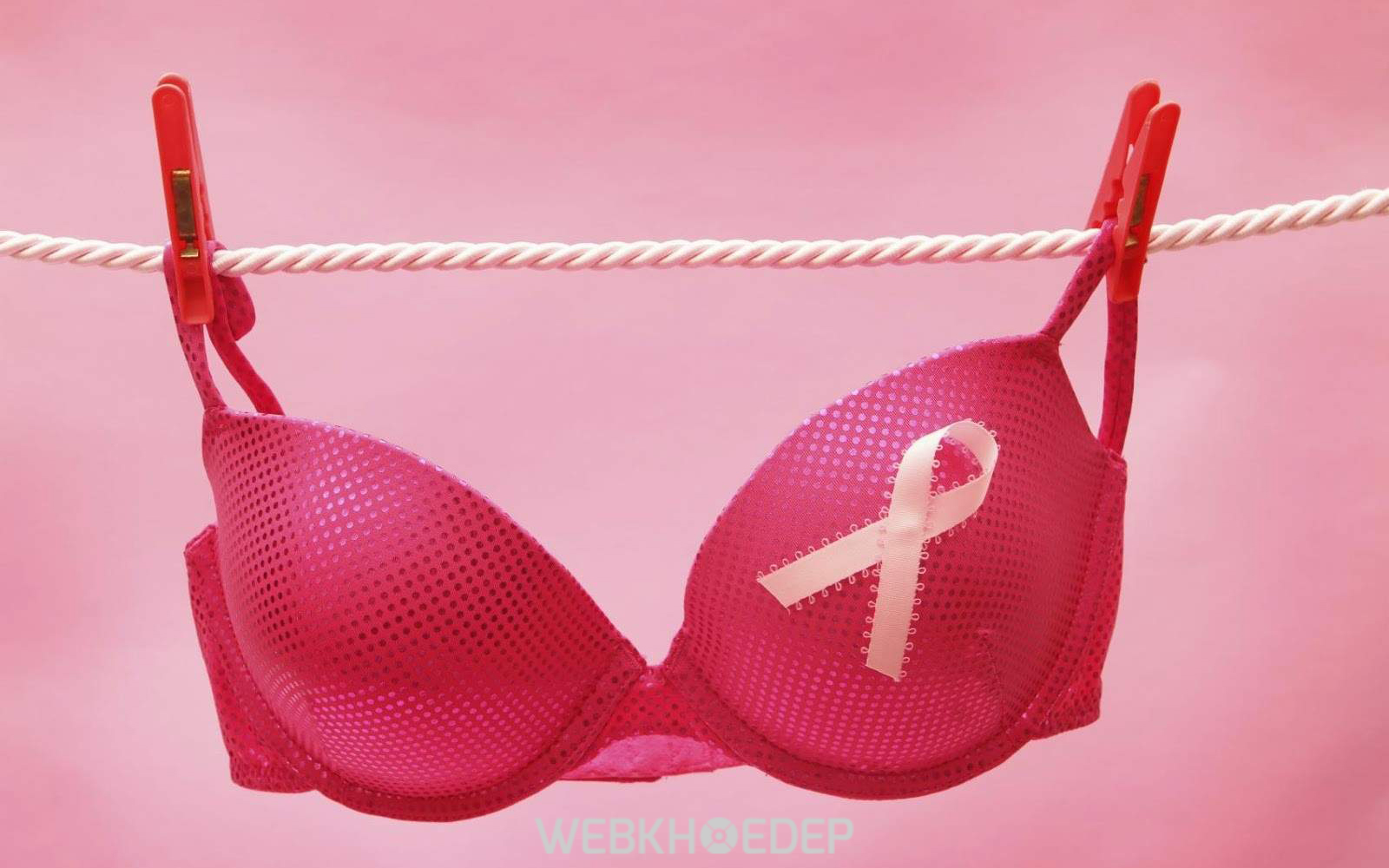 Những điều cần biết về Ung thư vú và cách điều trị 4